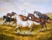 unknow artist Horses 015 France oil painting artist